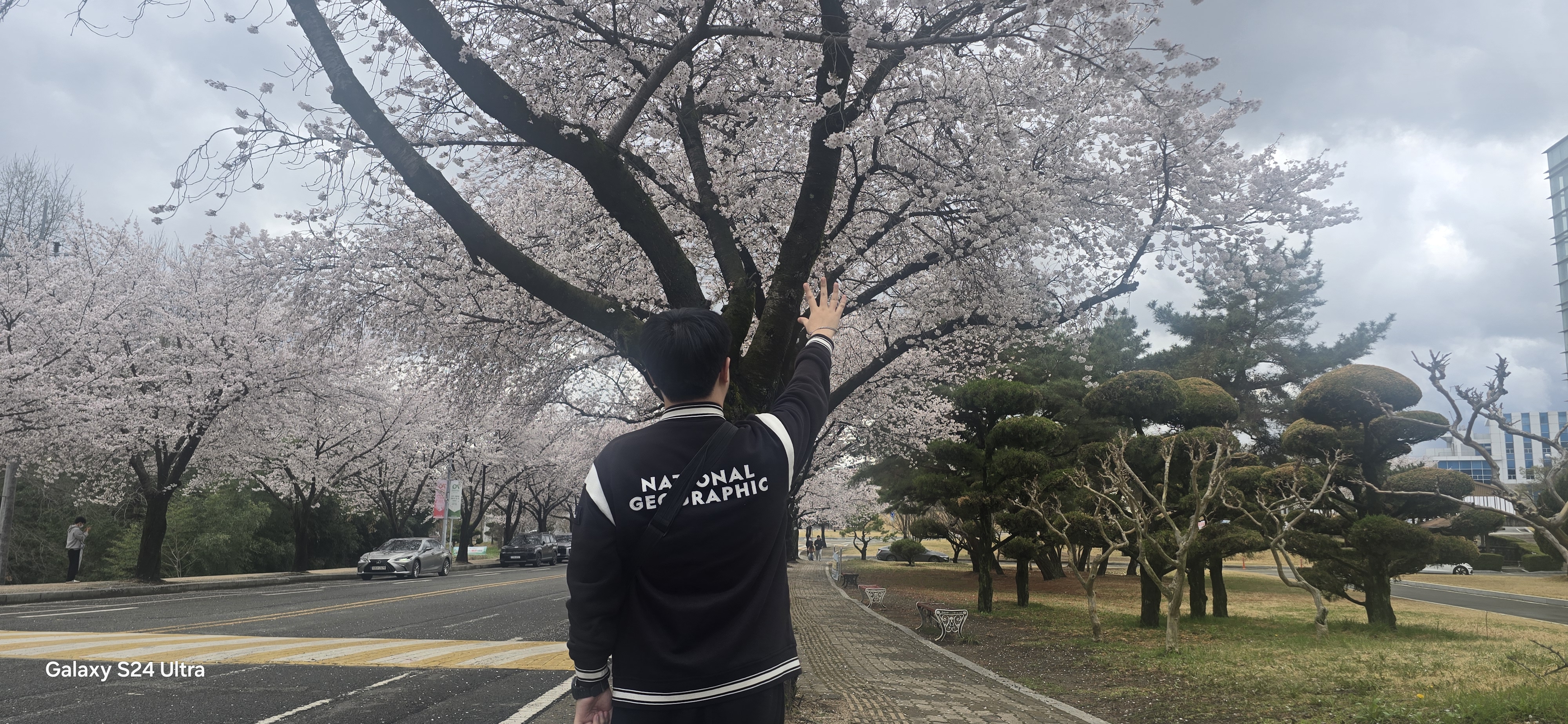 벚꽃 아래에서